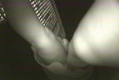 Surveillance Shoe, image issue de la vidéo&nbsp;: B/W footage produced by Surveillance Shoe (6 min) ©&nbsp;Jill Magid (2000)